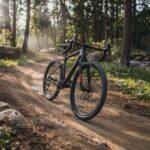 sportowy rower wśród drzew